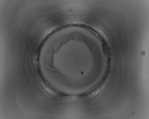 X0000091850881200710031639