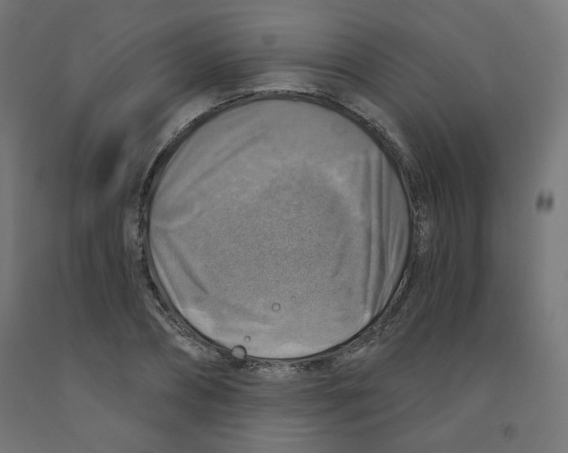 X0000091850882200710031639