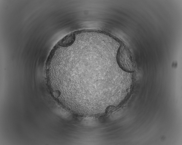 X0000091850883200710031639