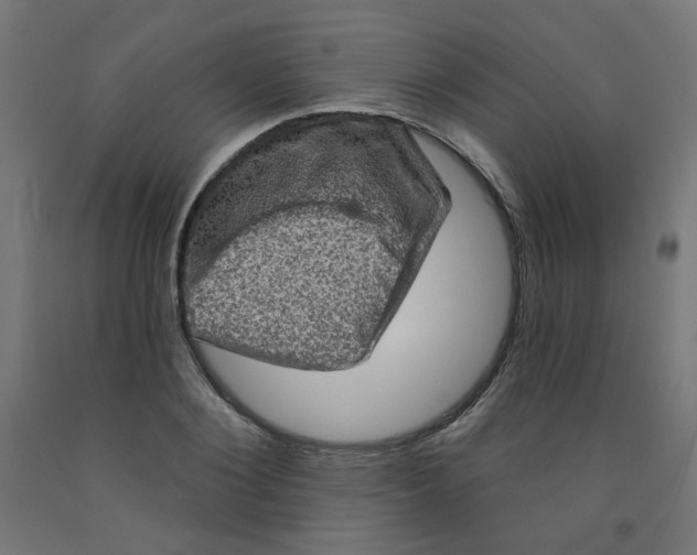 X0000091850884200710031639