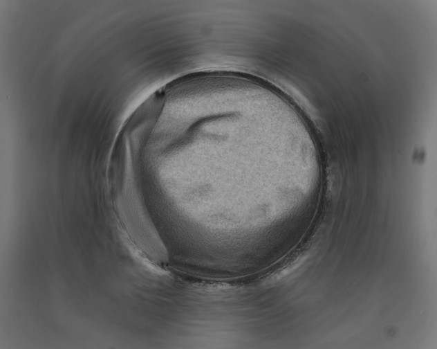 X0000091850885200710031639