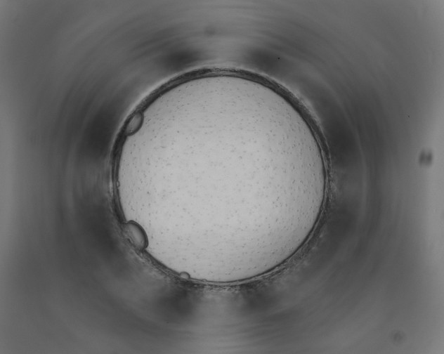 X0000091850887200710031639