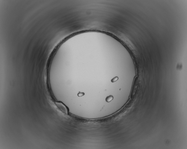 X0000091850888200710031639