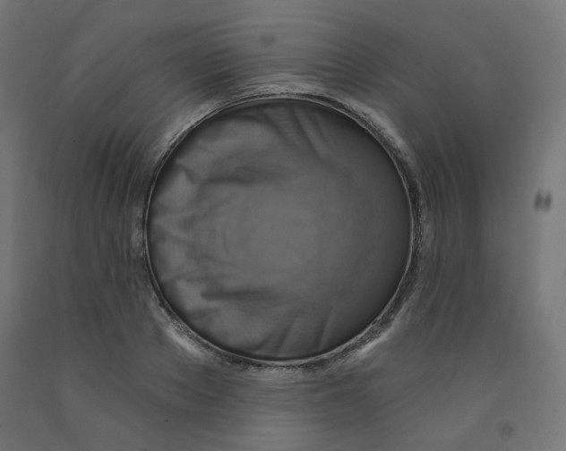 X0000091850889200710031638