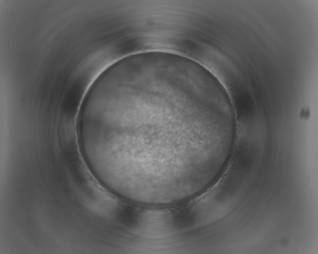 X0000091850891200710031638