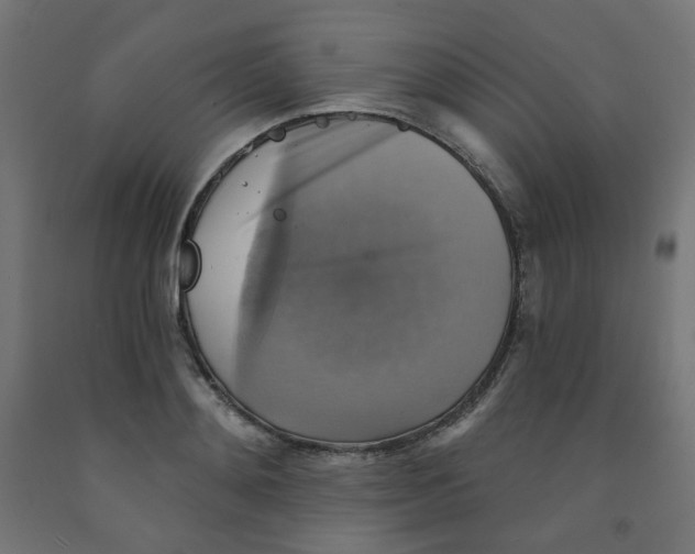X0000091850892200710031638