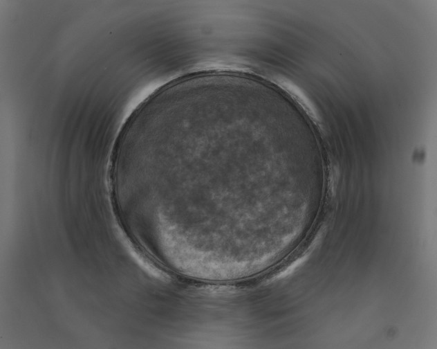 X0000091850893200710031638
