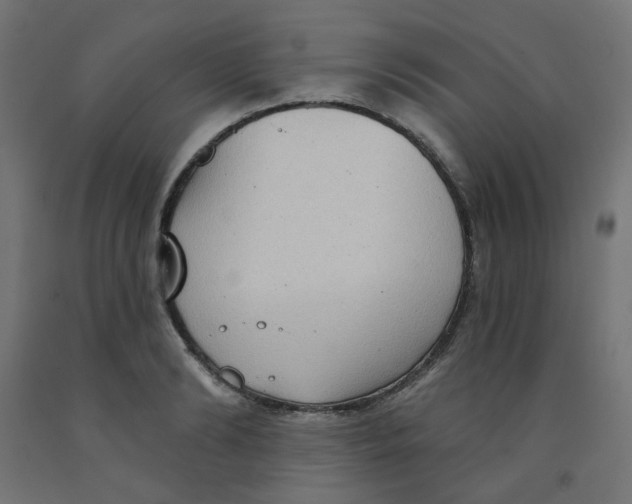 X0000091850894200710031638
