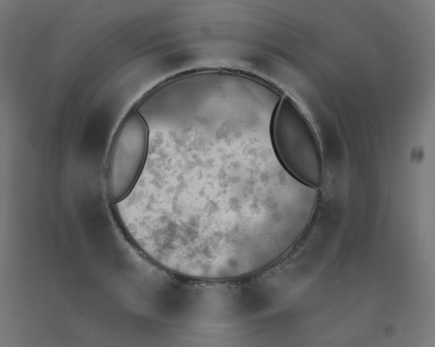 X0000091850895200710031638