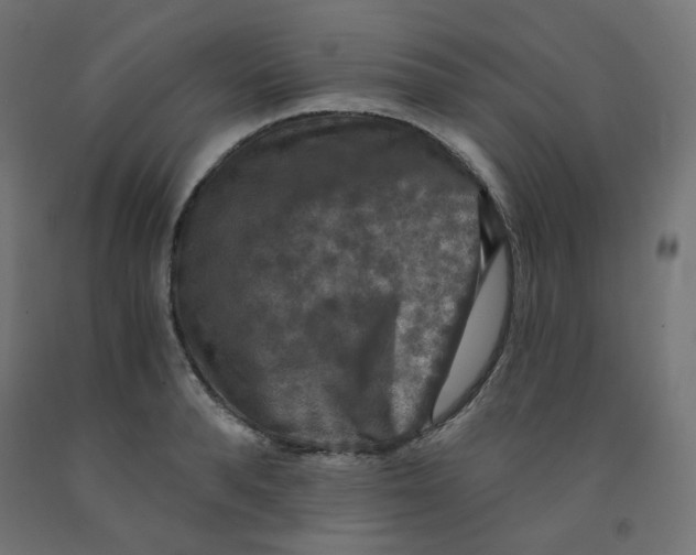 X0000091850896200710031638