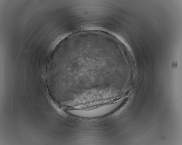 X0000091850897200710031638