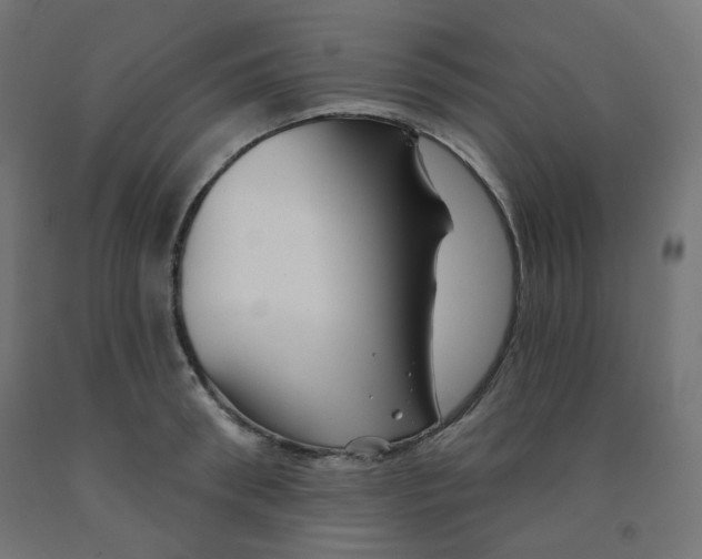 X0000091850898200710031638