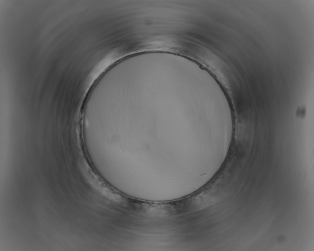 X0000091850899200710031638