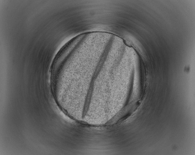 X0000091850900200710031638