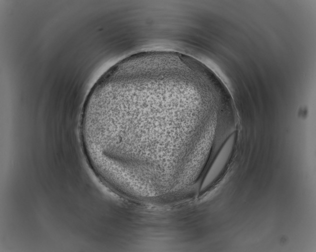 X0000091850901200710031638