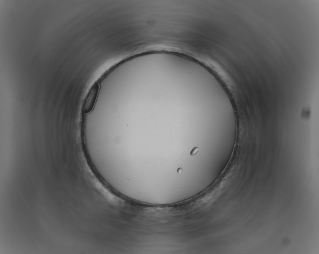 X0000091850902200710031638