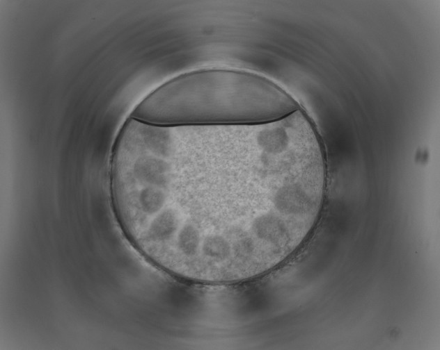 X0000091850903200710031638