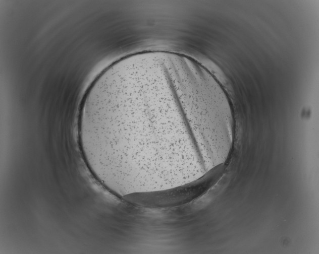 X0000091850904200710031638
