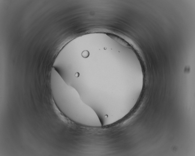 X0000091850905200710031638