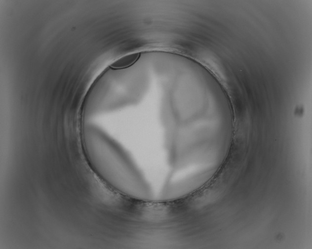 X0000091850907200710031638