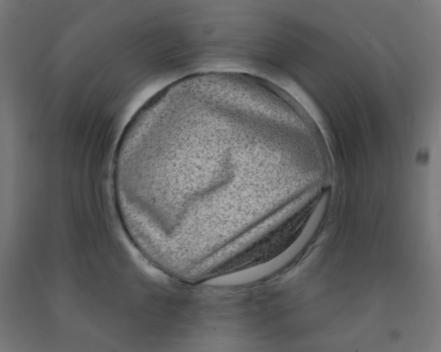 X0000091850909200710031638