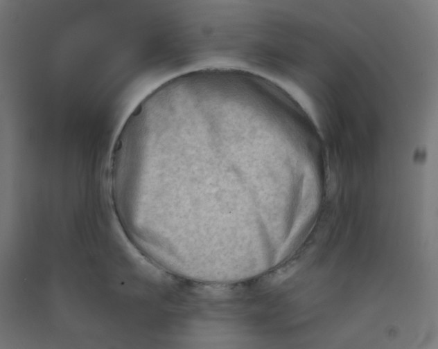 X0000091850911200710031638
