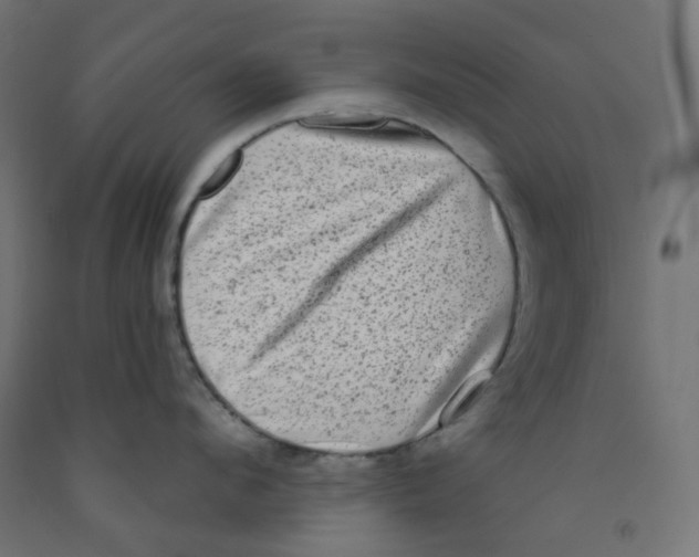 X0000091850912200710031638