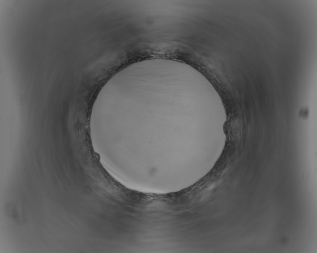 X0000091850913200710031638