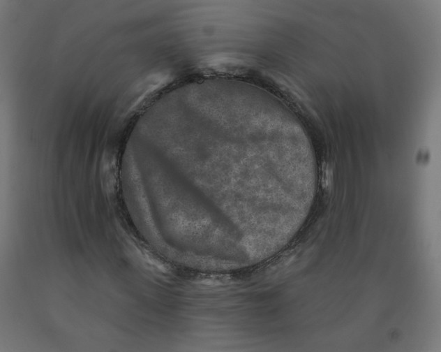 X0000091850915200710031638