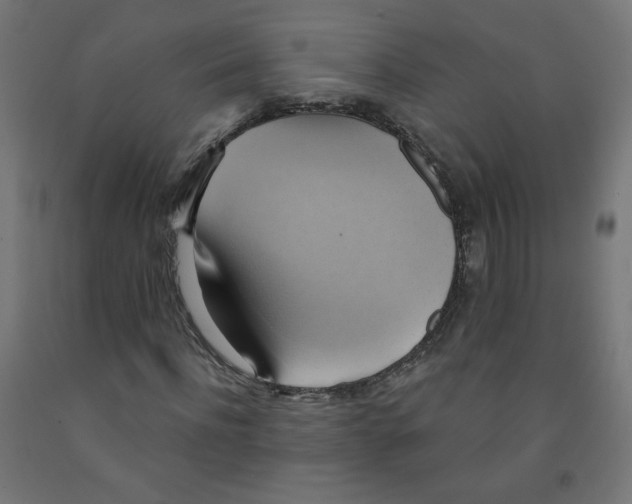 X0000091850916200710031638