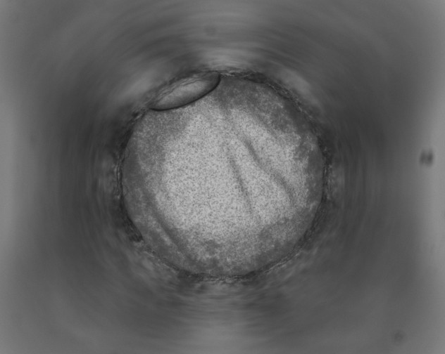 X0000091850917200710031638