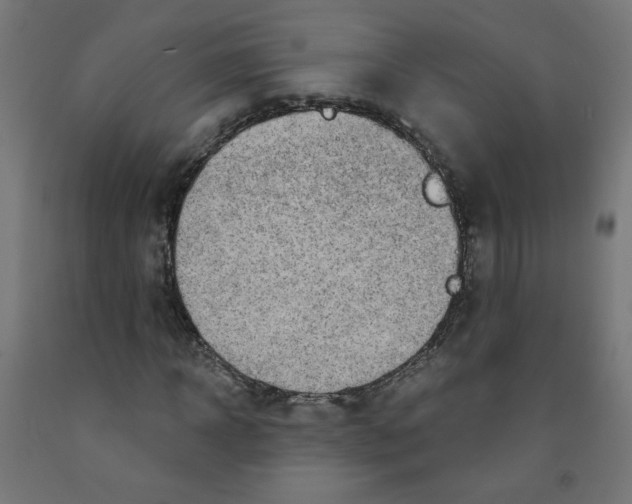 X0000091850918200710031638