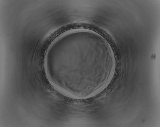 X0000091850919200710031638
