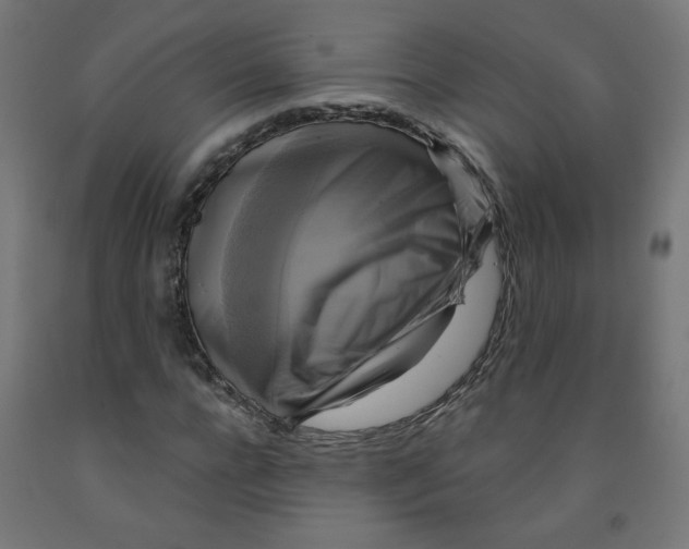 X0000091850920200710031638