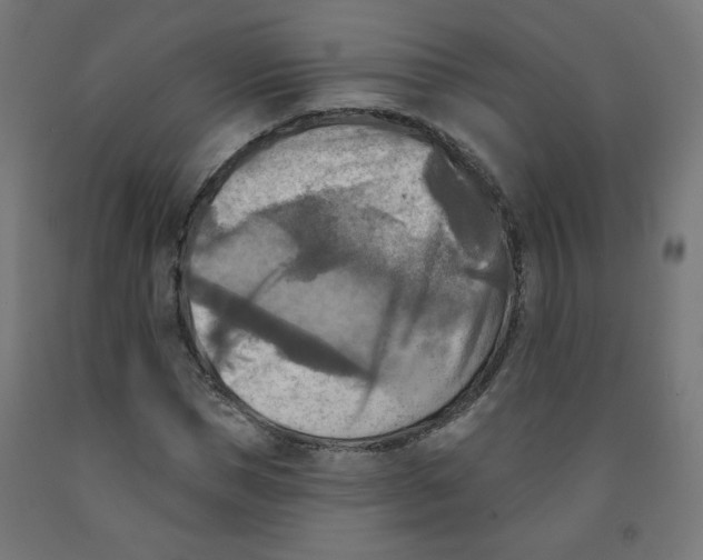 X0000091850921200710031638
