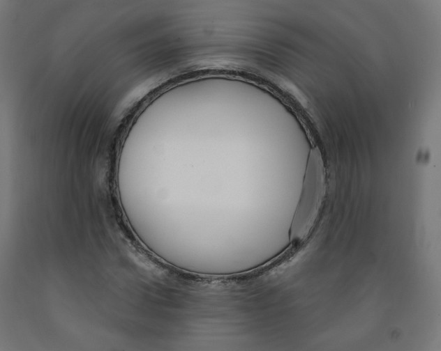 X0000091850922200710031638