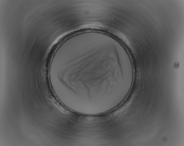 X0000091850923200710031638