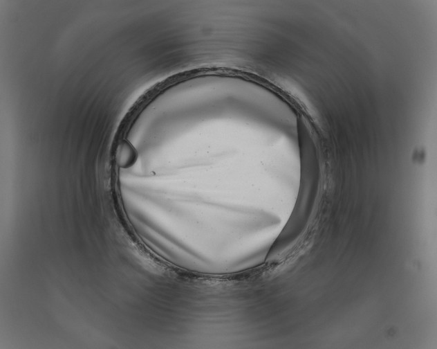 X0000091850924200710031638