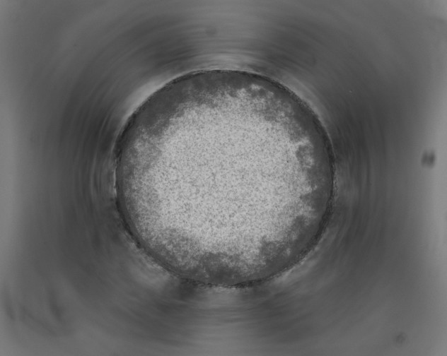 X0000091850925200710031638