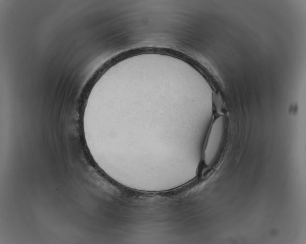 X0000091850926200710031638