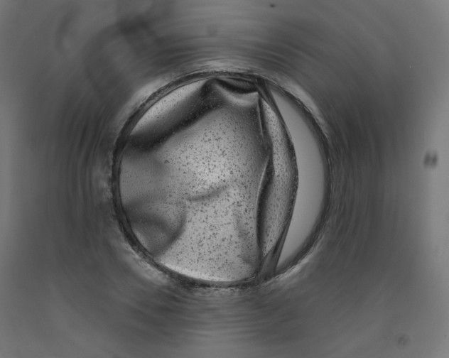 X0000091850930200710031638
