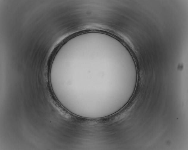 X0000091850931200710031638