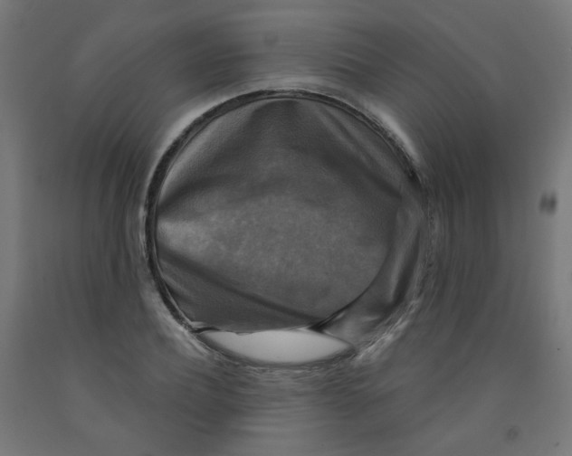 X0000091850932200710031638