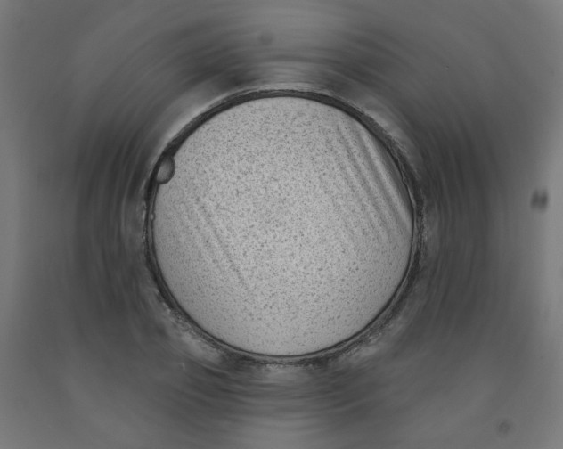 X0000091850933200710031638