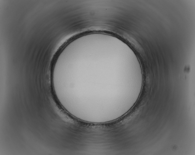 X0000091850934200710031638
