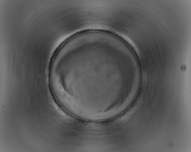 X0000091850935200710031638