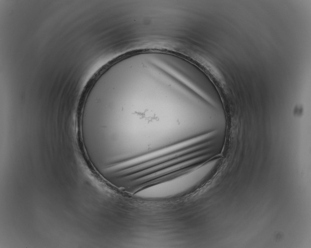X0000091850936200710031638