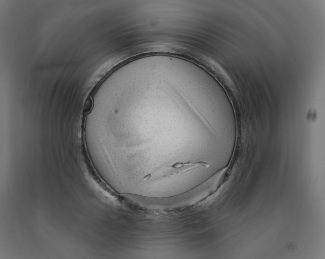 X0000091850938200710031638