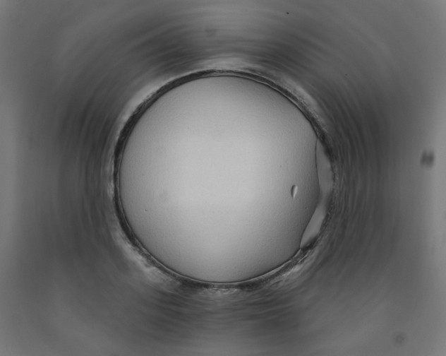 X0000091850939200710031638