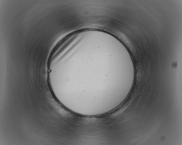 X0000091850940200710031638